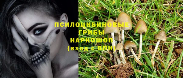 прущие крисы Вязники