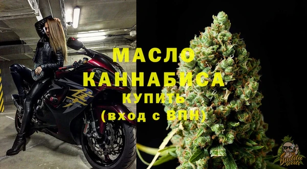 мдпв Володарск