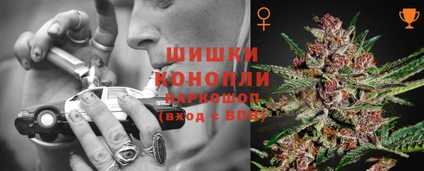 ПСИЛОЦИБИНОВЫЕ ГРИБЫ Волосово