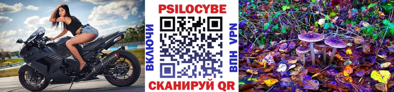 Купить закладки  Облучье  Галлюциногенные грибы Psilocybe 